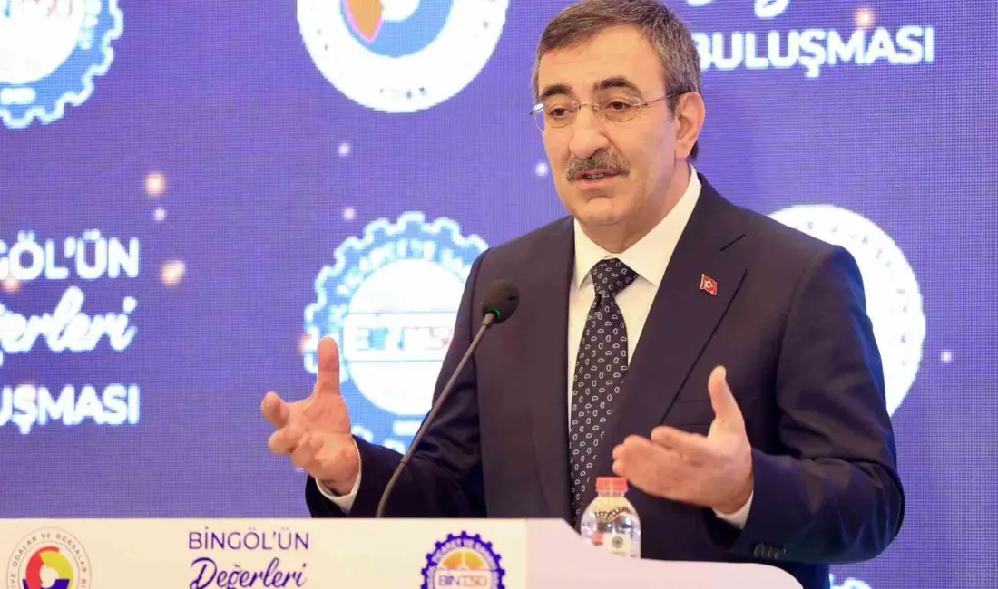 Dünya pazarının eskisi gibi hızla büyümediğini dile getiren Cumhurbaşkanı Yardımcısı