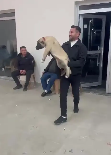 Denizli’de yeni evlenen çiftin düğünündeki takı merasiminde damadın arkadaşının düğün