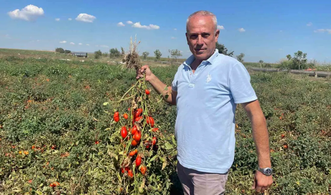 Bursa’nın Karacabey ilçesinde 1968 yılında doğan Seçim Gezegen, dünyaya geldiği gün