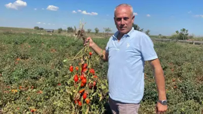 Bursa’nın Karacabey ilçesinde 1968 yılında doğan Seçim Gezegen, dünyaya geldiği gün