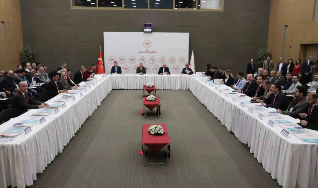 Bursa, Balıkesir, Çanakkale ve Yalova illerinin sağlık hizmetleri sorunlarının ele