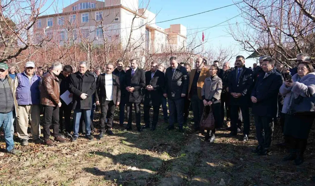 Gürsu Belediyesi’ne bağlı Gürsu Tarımsal Araştırmalar Merkezi (GÜRTAM) tarafından yürütülen