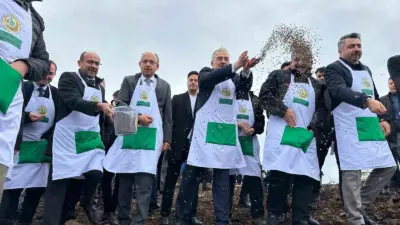 Bursa’nın Harmancık ilçesinde yaz aylarında çıkan orman yangınında zarar gören