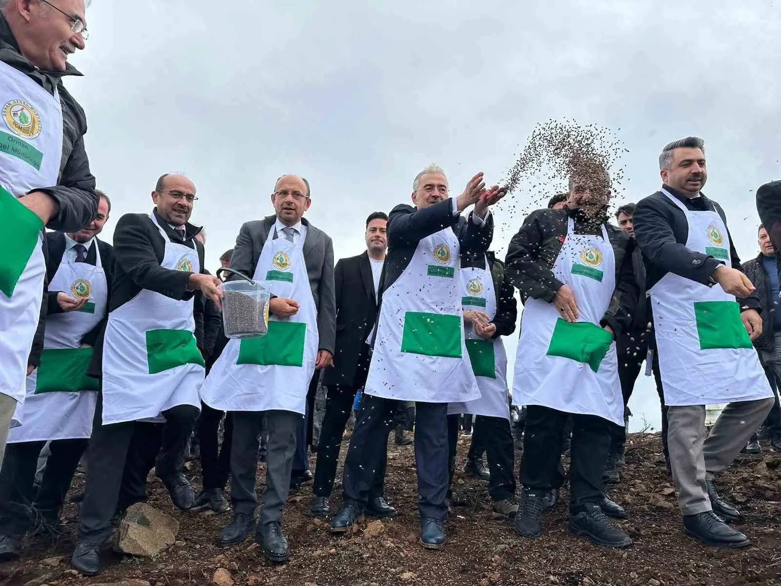 Bursa’nın Harmancık ilçesinde yaz aylarında çıkan orman yangınında zarar gören