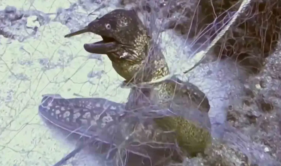 Tarım ve Orman Bakanlığı, yıl içinde yürütülen çalışmalar kapsamında 360