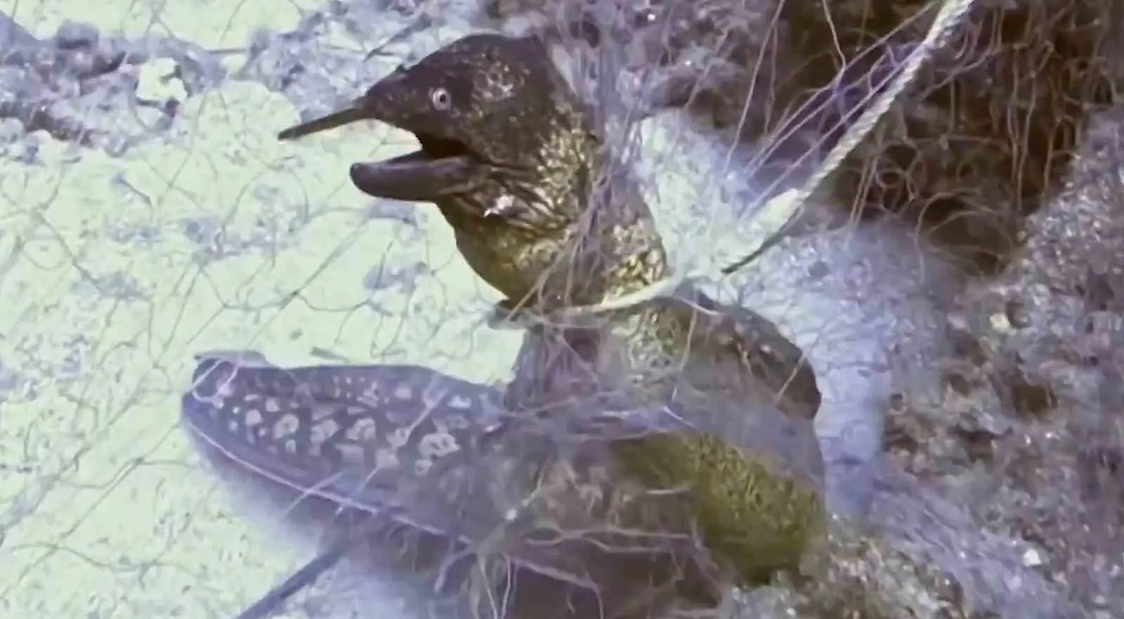 Tarım ve Orman Bakanlığı, yıl içinde yürütülen çalışmalar kapsamında 360