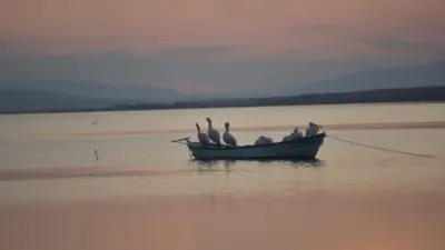 Manyas Barajı ve Gölü’ndeki su çekilmeleri sebebiyle Bursa’nın Karacabey ilçesinde