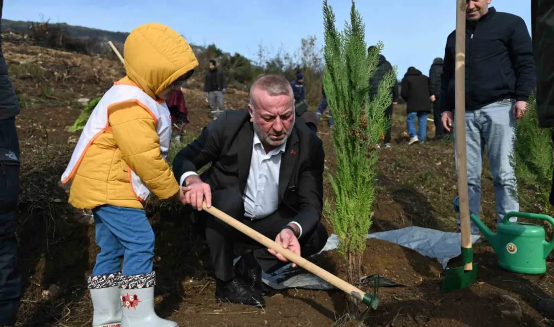 Karacabey’de geçtiğimiz Eylül ayında 35 hektarlık alanı küle çeviren yangının