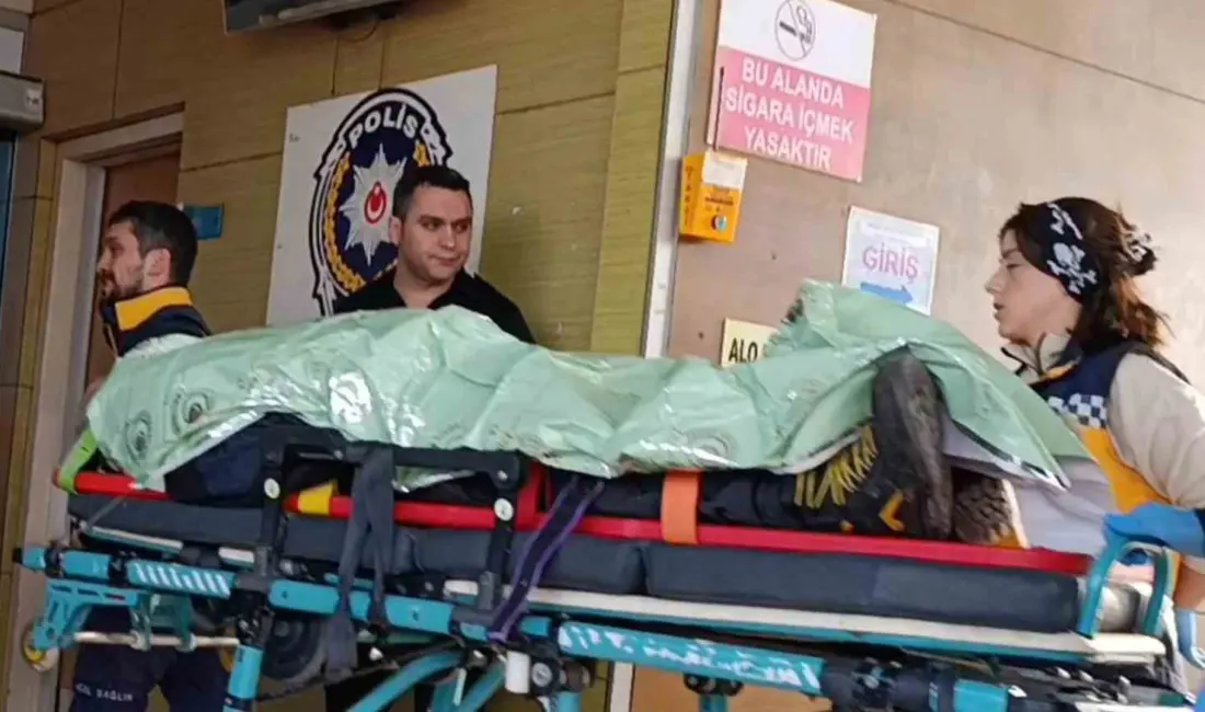 Bursa’nın İnegöl ilçesinde meydana gelen kazada bir otomobil, evin bahçe