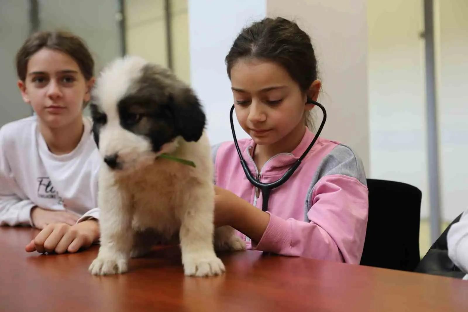 Bursa’da sokak hayvanlarına sahip çıkan, sağlık hizmetlerinden yuvalandırmaya kadar birçok