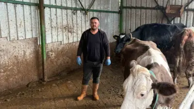 Bursa’nın Yenişehir ilçesinde hayvancılıkla uğraşan ve şap nedeniyle 1,5 milyon lira kaybı