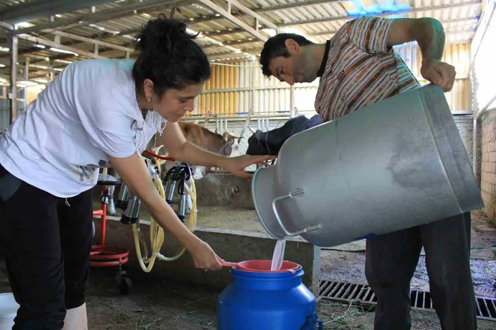 Tüm Süt, Et ve Damızlık Sığır Yetiştiricileri Derneği (TÜSEDAD) Başkanı
