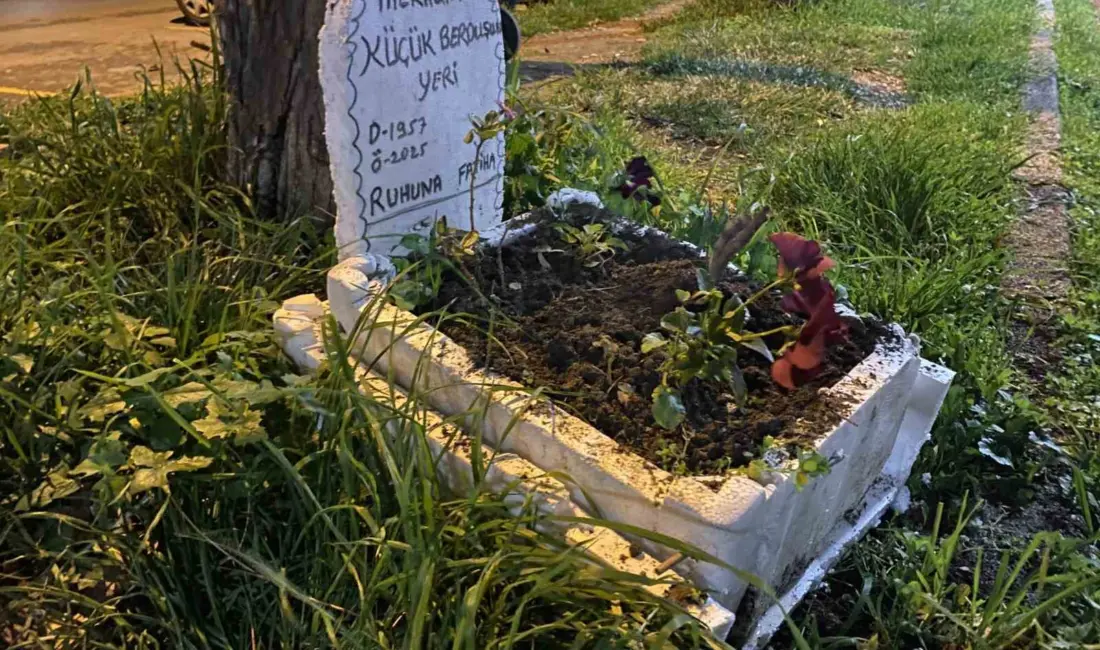 Bursa’nın Mudanya ilçesinde taksi durağı sakinleri, Berduş adını verdikleri muhabbet