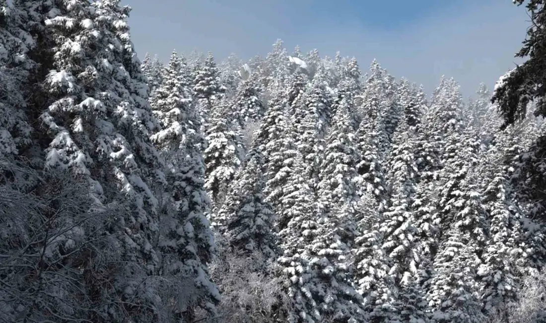 Uludağ’ın zirvesinde etkili olan sis görüş mesafesini 5 metreye kadar