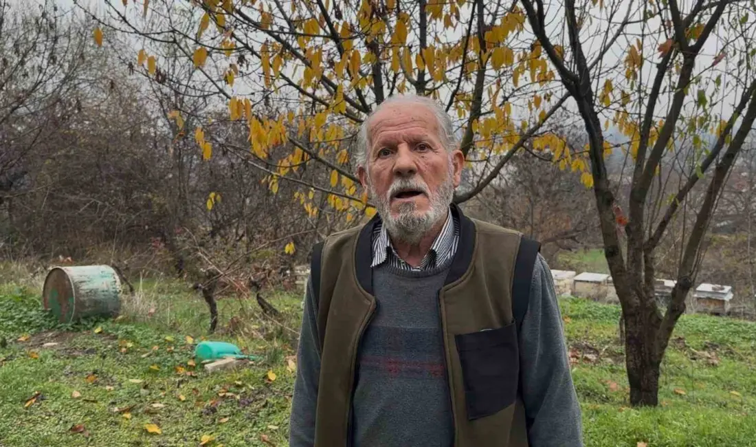 Bursa’da profesyonel olarak arıcılık yapan 75 yaşındaki Zeynullah Soylu, zirai