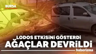 Bursa’da etkili lodos, refüjdeki ağaçları devirdi. Devrilen ağaçlar seyir halindeki