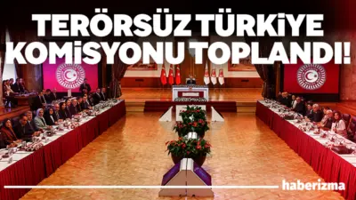 Milli Dayanışma, Kardeşlik ve Demokrasi Komisyonu ortak rapor yazımı için