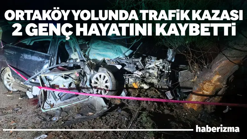 Bursa’nın İnegöl ilçesinde meydana gelen kazada kontrolden çıkan otomobil ağaca