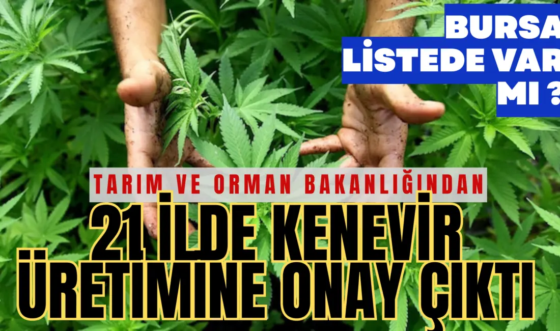 Tarım ve Orman Bakanlığı, kenevir yetiştiriciliğine ilişkin usul ve esasları