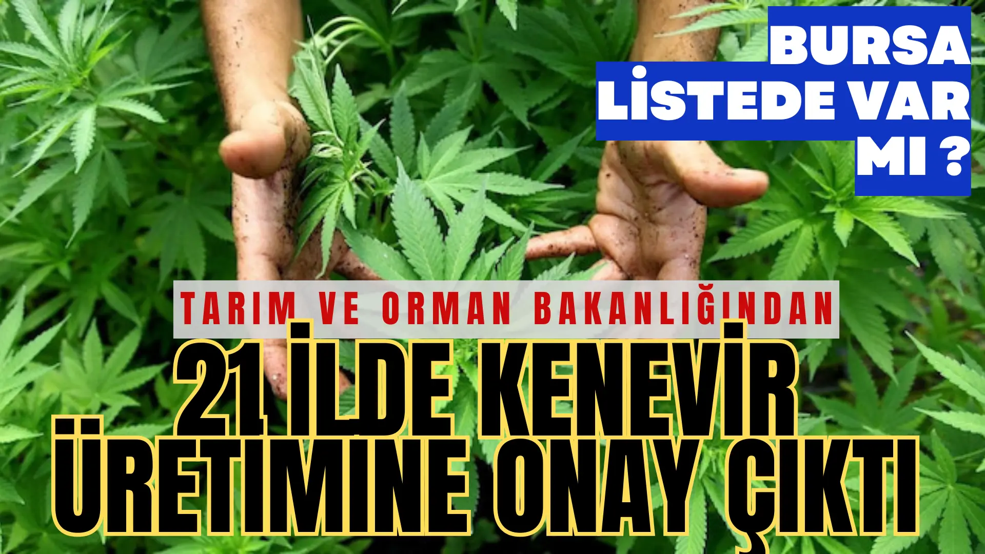 Tarım ve Orman Bakanlığı, kenevir yetiştiriciliğine ilişkin usul ve esasları