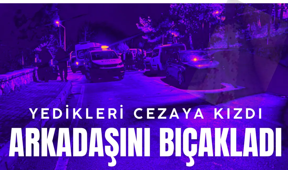 BURSA (İHA) – Bursa’da trafik cezası parası nedeniyle çıkan tartışma