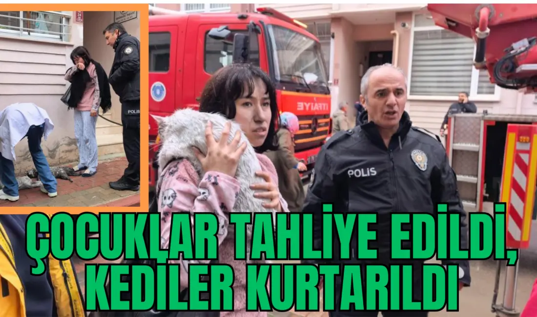 Bursa’nın İnegöl ilçesinde apartmanın 3. katında çıkan yangında 5 kediden