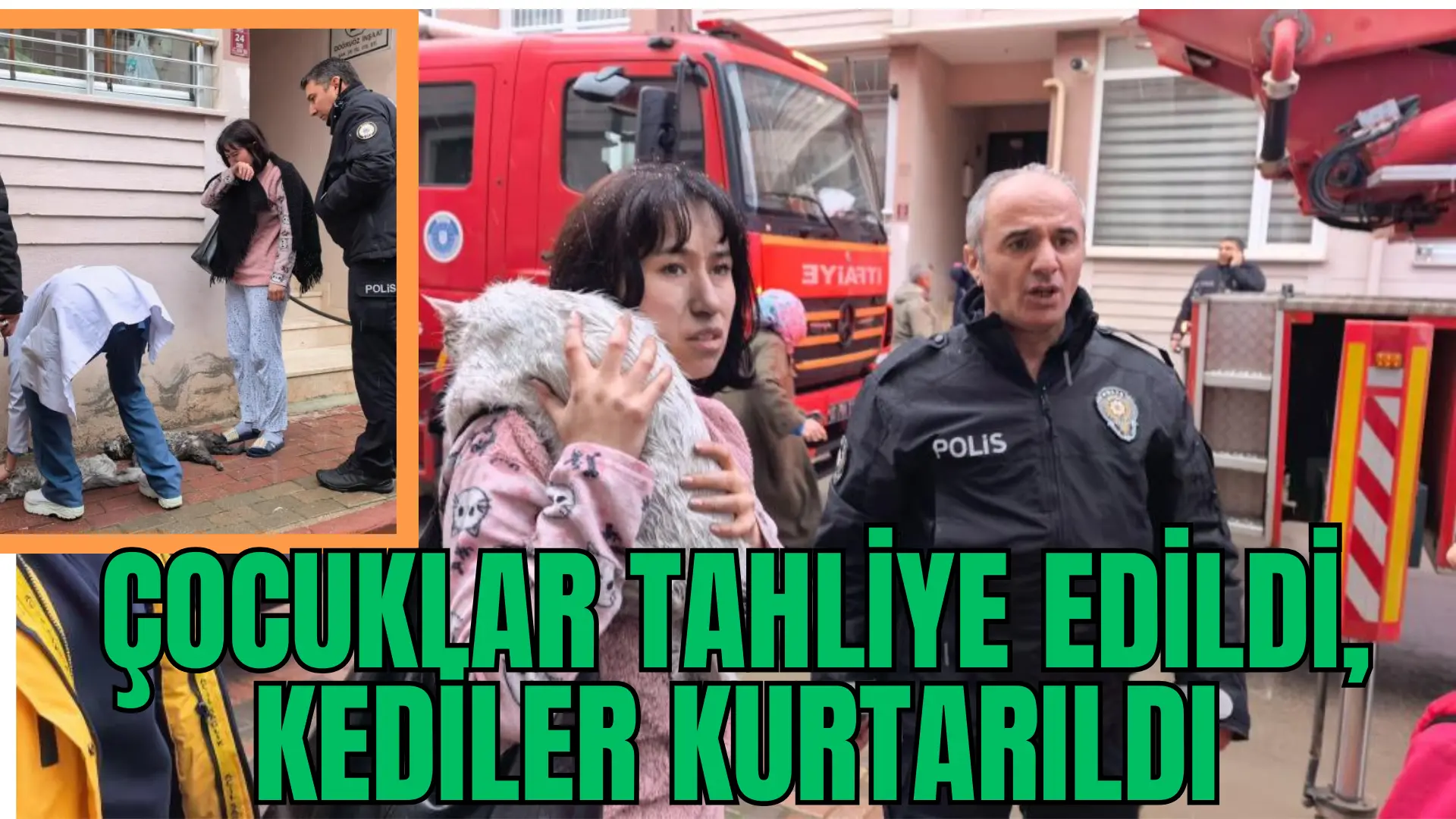 Bursa’nın İnegöl ilçesinde apartmanın 3. katında çıkan yangında 5 kediden