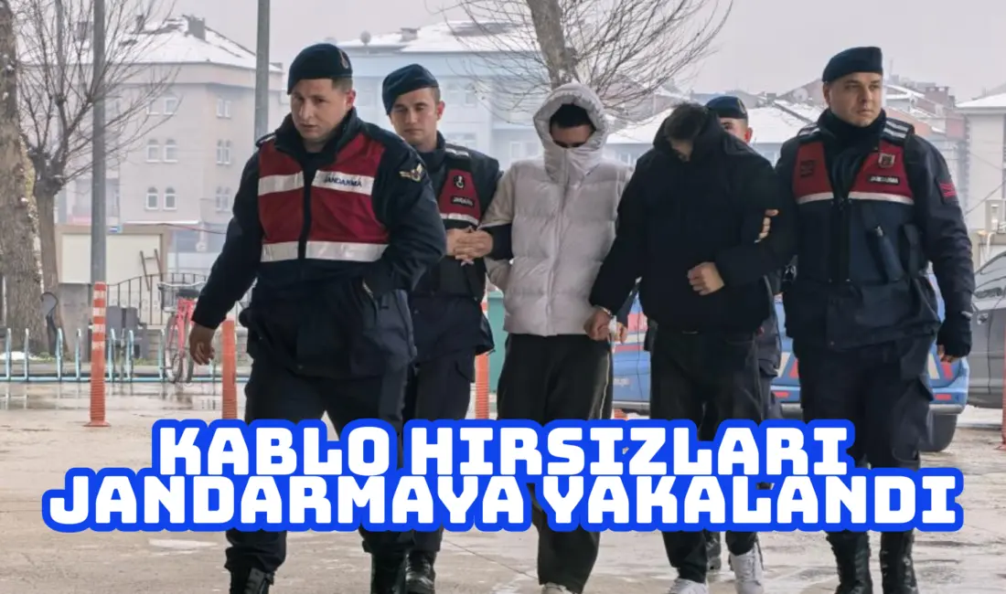 Bursa’nın İnegöl ilçesinde çaldıkları kablolarla mahalleyi internetsiz bırakan 2 şüpheli