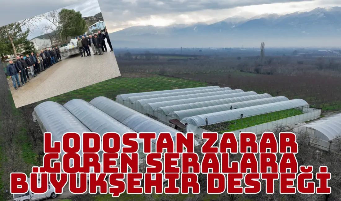 Bursa Büyükşehir Belediyesi, afetlerden olumsuz etkilenen çiftçilere yönelik desteklerini sürdürüyor.