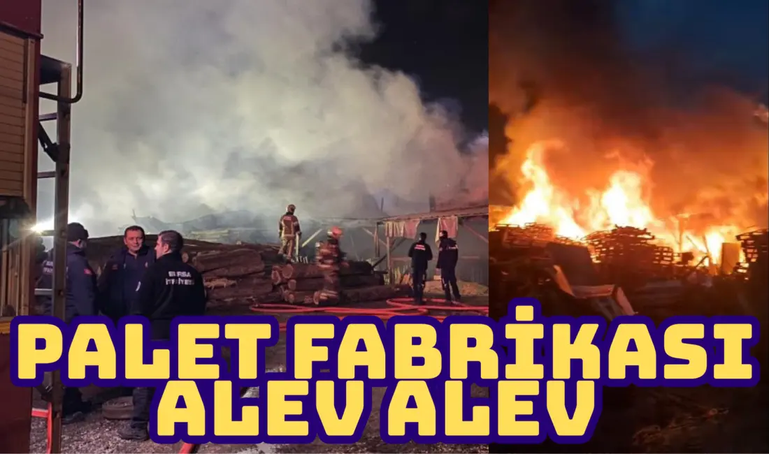Bursa’nın merkez Yıldırım ilçesinde bir ahşap palet fabrikasında çıkan yangın,