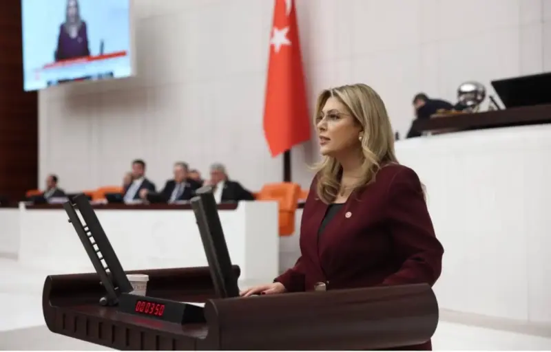 Cumhuriyet Halk Partisi (CHP) Giresun Milletvekili Elvan Işık Gezmiş, “Cezasızlık