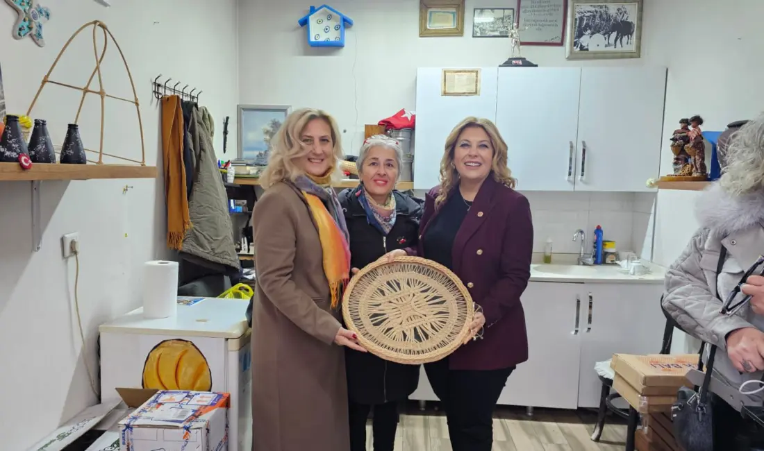 Cumhuriyet Halk Partisi (CHP) Giresun Milletvekili Elvan Işık Gezmiş, 2026