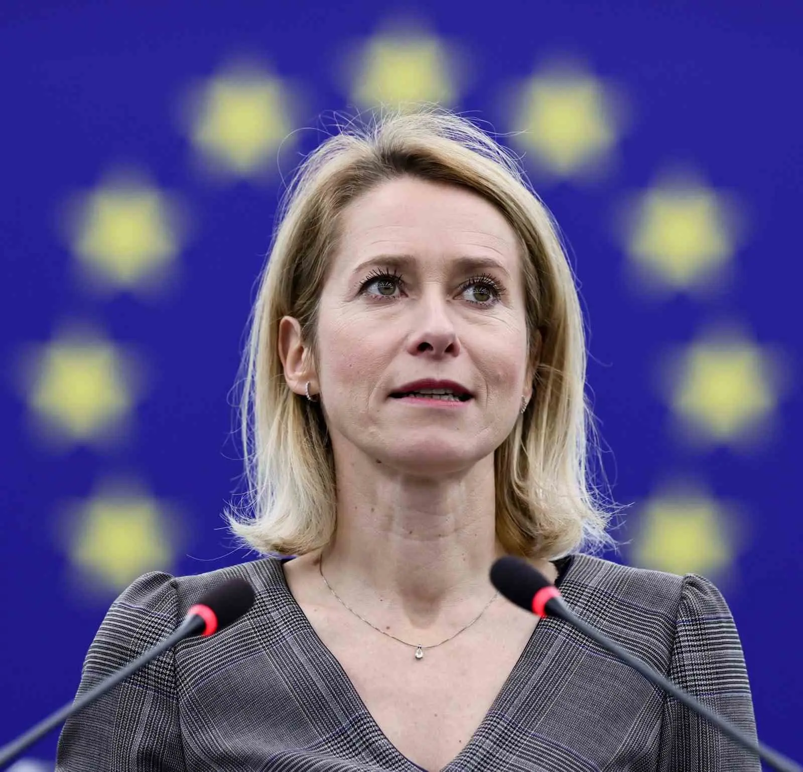 Avrupa Birliği (AB) Dış İlişkiler ve Güvenlik Politikaları Yüksek Temsilcisi