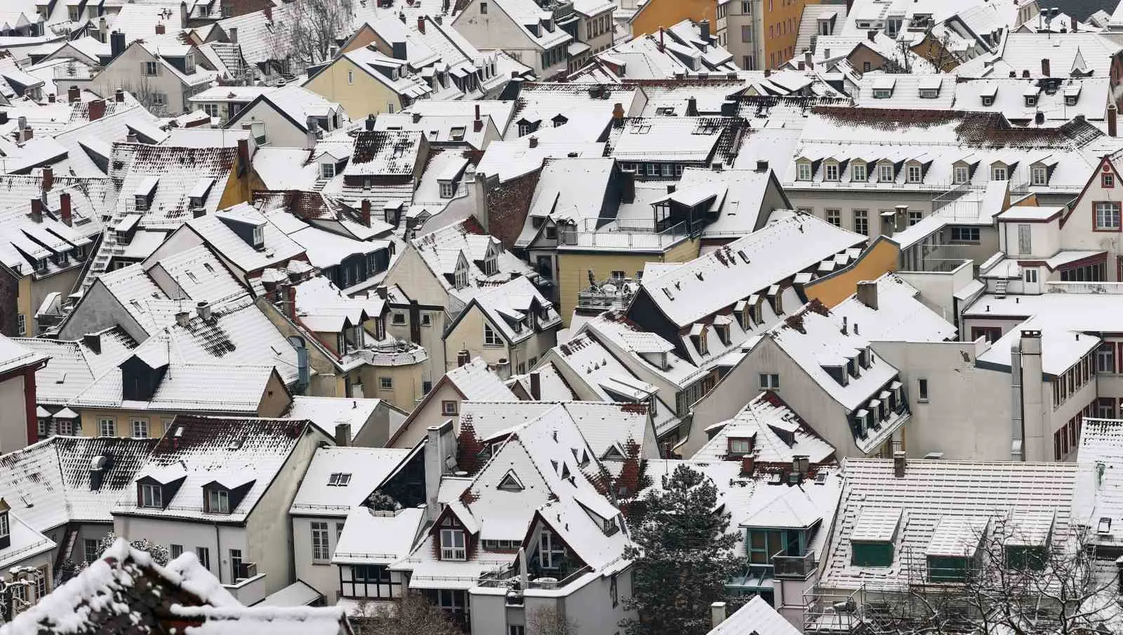 Son yılların en sert kış mevsiminin yaşandığı Almanya’da “Elli” alçak