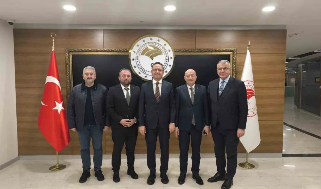 Karabiga’daki Şeremetdere üzerinde yer alan köprülerin yeniden yapım süreci başlıyor.