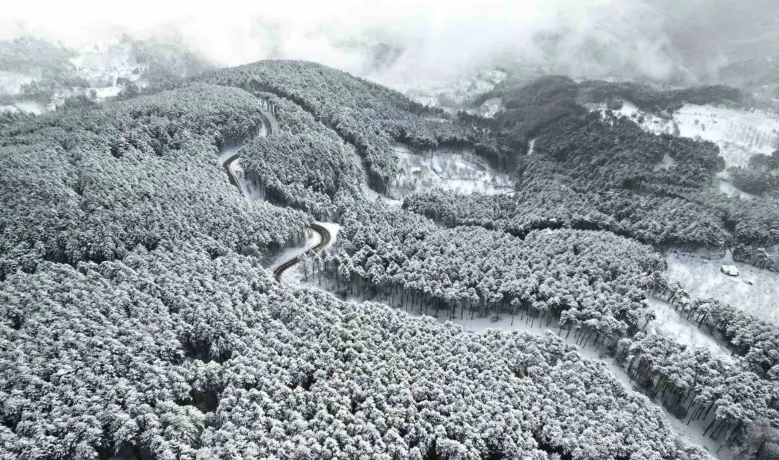 Bursa’da, Uludağ’ın virajlı yolları dron ile havadan görüntülendi. Doğayla iç