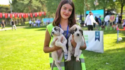 Bursa’da sahipsiz hayvanların daha iyi şartlarda yaşaması için birçok proje