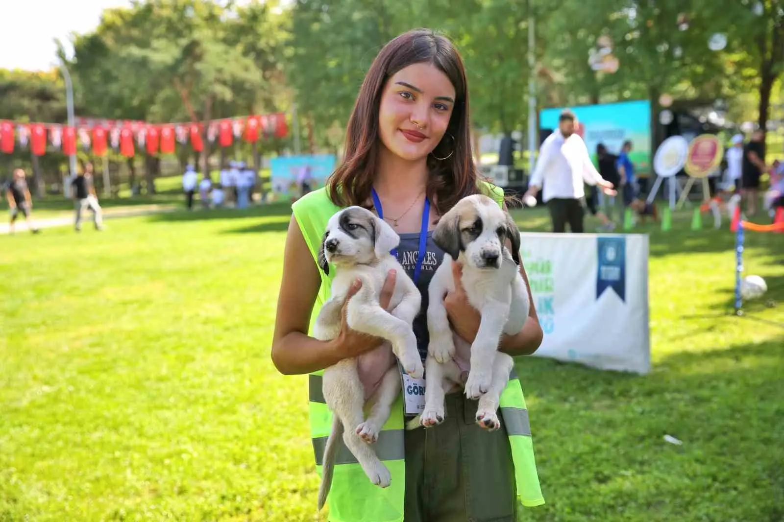 Bursa’da sahipsiz hayvanların daha iyi şartlarda yaşaması için birçok proje