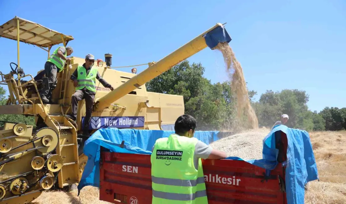 Bursa’da çiftçilerin gelir düzeyini artırma ve üretim verimliliğini daha yukarıya