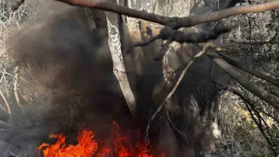 Bursa’nın Mudanya ilçesine bağlı Aydınpınar Kılıçbayır mevkiinde çıkan çalı yangını,