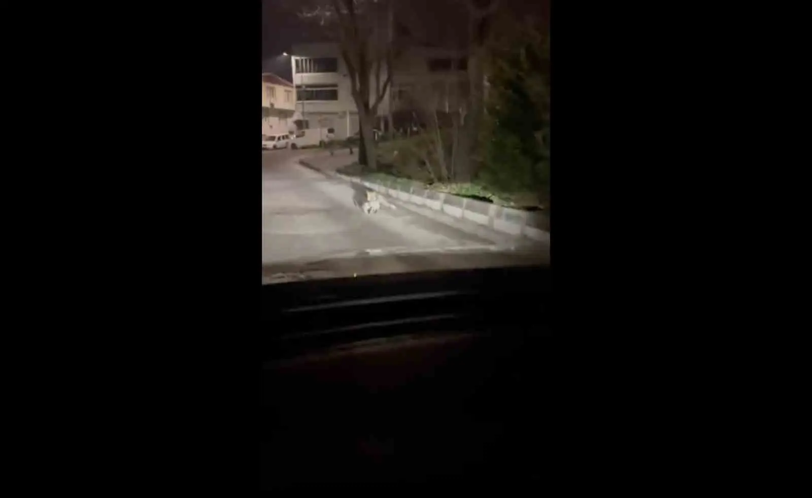 Bursa’nın Nilüfer ilçesi Üçevler Mahallesi’nde gece saatlerinde kaydedilen görüntüler, yerleşim