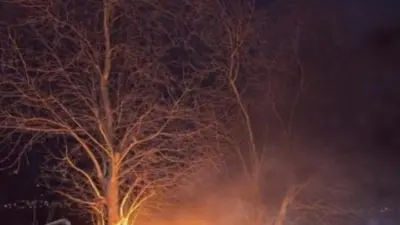 Bursa’da kontrolden çıkan otomobil ağaca çarptıktan sonra alev aldı, vatandaşlar