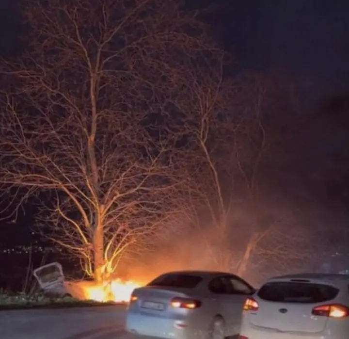 Bursa’da kontrolden çıkan otomobil ağaca çarptıktan sonra alev aldı, vatandaşlar