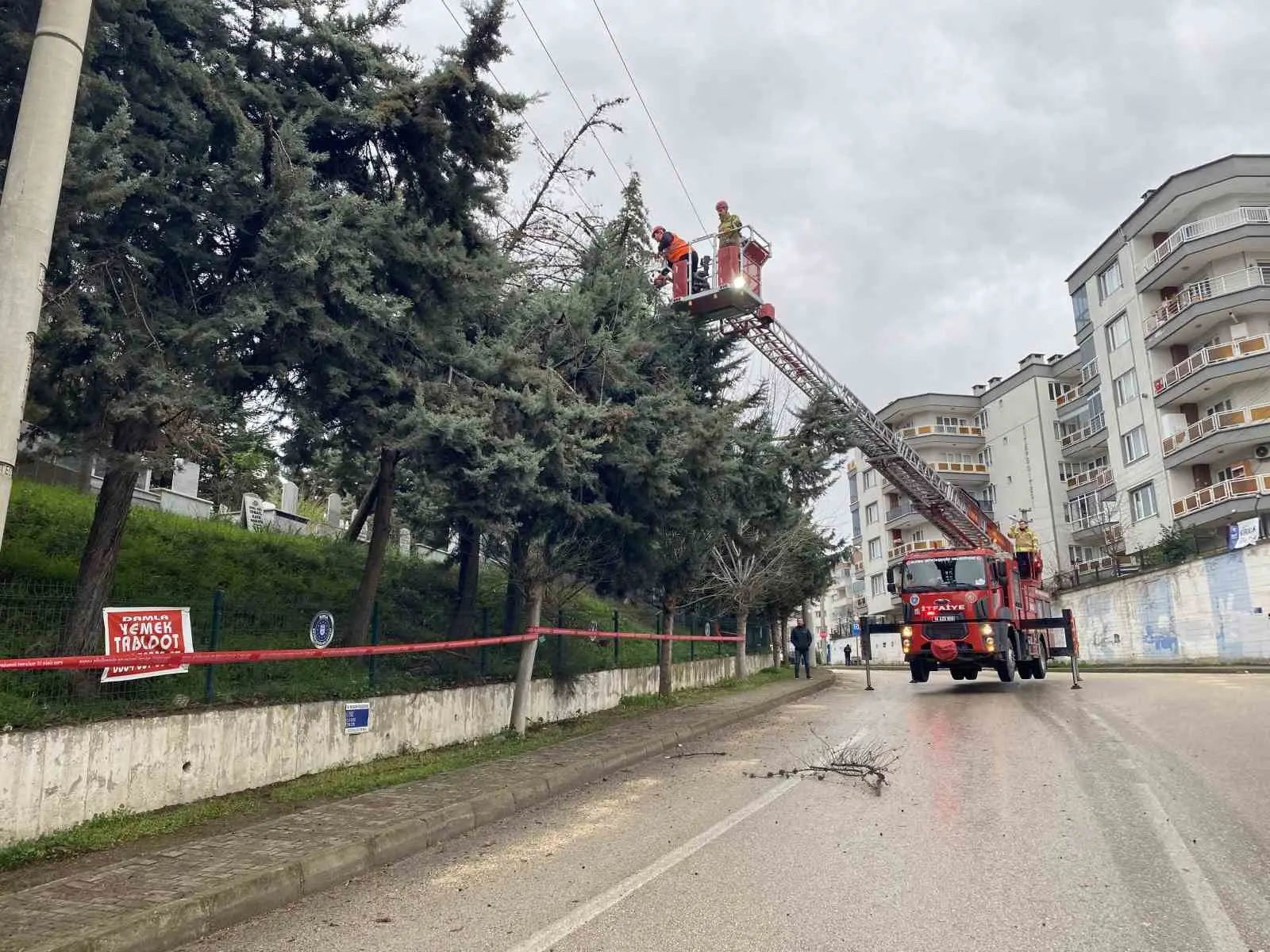 Bursa’nın Mudanya ilçesinde etkili olan şiddetli lodos nedeniyle bir ağaç
