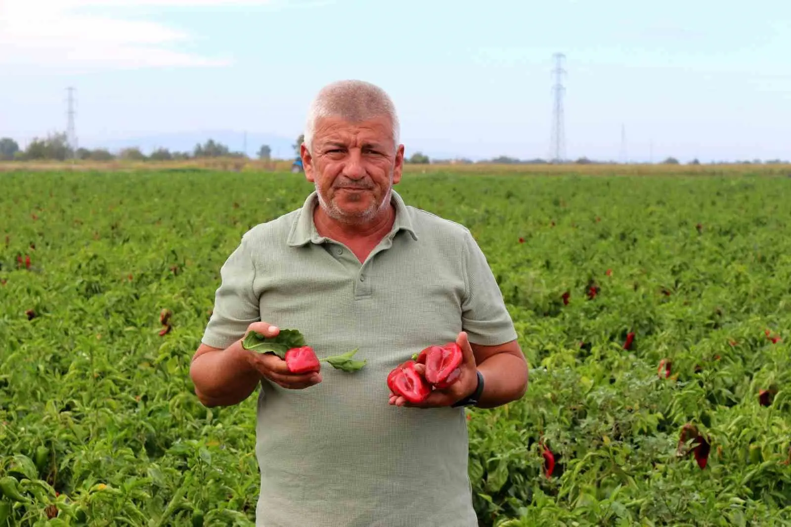 Karacabey Ziraat Odası İkinci Başkanı Ramazan Düzen, çiftçiler için devam