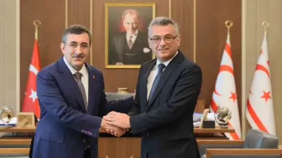 Cumhurbaşkanı Yardımcısı Cevdet Yılmaz, KKTC Cumhurbaşkanı Tufan Erhürman ile görüşmesi