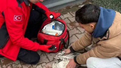 Bursa’nın Mudanya ilçesinde denizde balık tutan amatör bir balıkçının oltasına