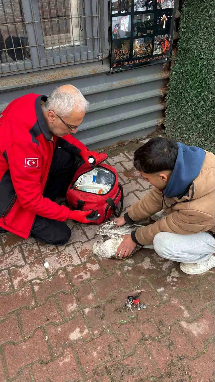 Bursa’nın Mudanya ilçesinde denizde balık tutan amatör bir balıkçının oltasına