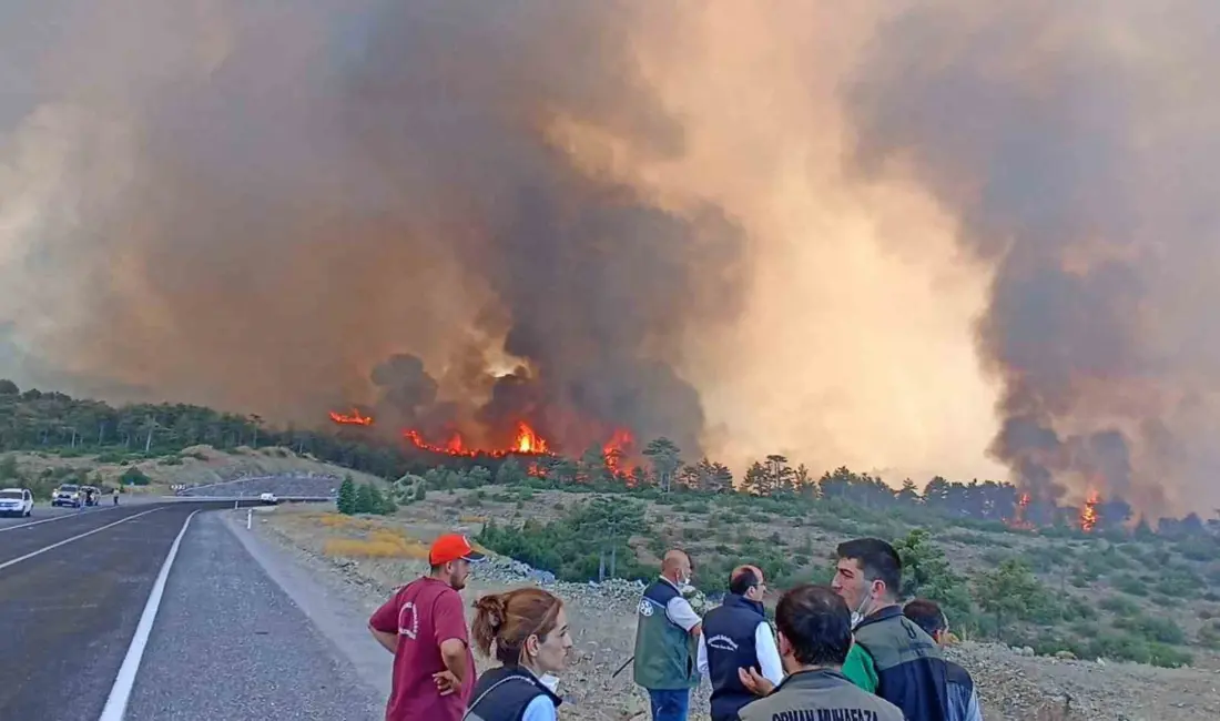 Bursa’nın Harmancık ve Orhaneli ilçelerinde geçtiğimiz yıl temmuz ayında çıkan