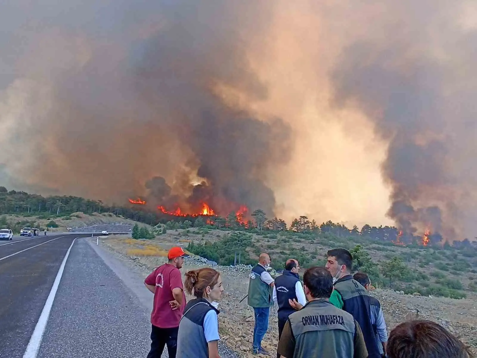 Bursa’nın Harmancık ve Orhaneli ilçelerinde geçtiğimiz yıl temmuz ayında çıkan